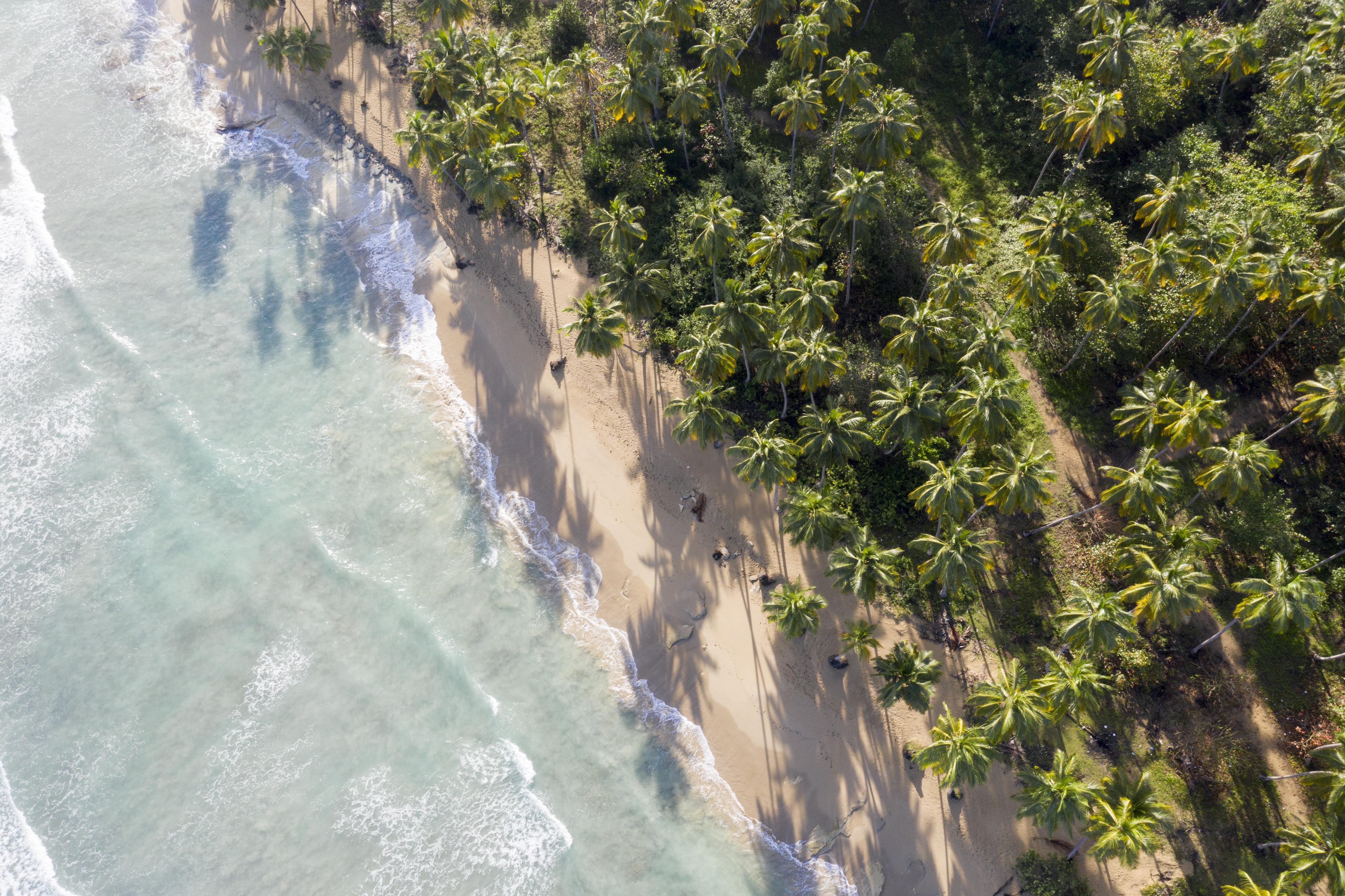 Saman Boutique Hotel By Mint Las Terrenas Buitenkant foto